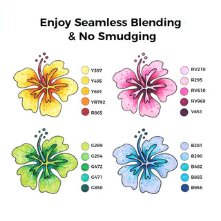 Ohuhu Oahu 80 Colors Dual Tips Alcohol Art Markers, Fine & Chisel (Mexico Domestic Shipping)